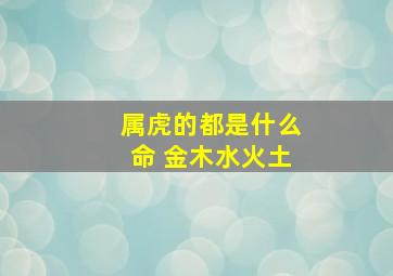 属虎的都是什么命 金木水火土